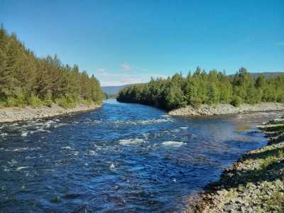 Rendalen