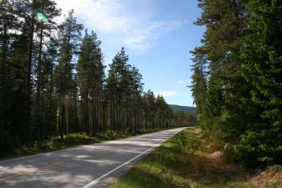 Rendalen