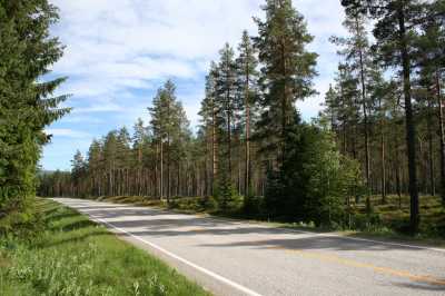 Rendalen