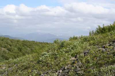  Kystriksveien Nr. 17  - Sandnessjøen  