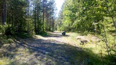 irgendwo in Schwweden