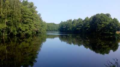 Südschweden im Wald, 