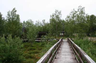  Finnland - Lappland - Mücken - Rückenwind  