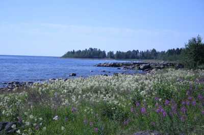 Finnischer Meerbusen in Schweden