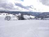 Neuschnee und Sonne in Todtnauberg
