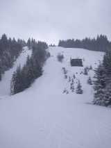 Feldberg Zeiger Fahl Skifahren im März 2019