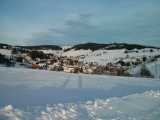 Neuschnee 2019 Januar in Todtnauberg