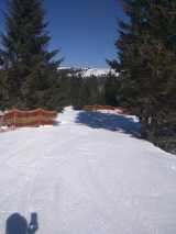 Feldberg Zeiger Fahl Skifahren im März 2019