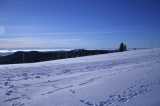 weiße Weihnachten im Hochschwarzwald, Feldberggebiet