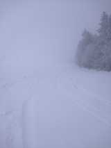 Schwarzwaldweiß aufm SeeBuckel 12- 2019