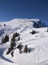 Warmer-Schneearmer-Januar-2020 in Bilder aus dem B und S Wäldern