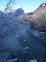 Warmer-Schneearmer-Januar-2020 in Bilder aus dem B und S Wäldern