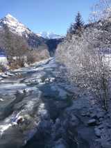 Warmer-Schneearmer-Januar-2020 in Bilder aus dem B und S Wäldern