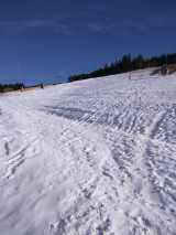 Black Forest-19-12-28