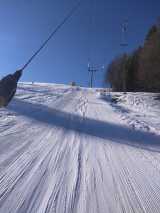 Warmer-Schneearmer-Januar-2020 in Bilder aus dem B und S Wäldern