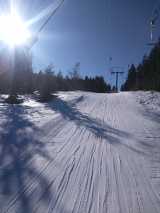 Warmer-Schneearmer-Januar-2020 in Bilder aus dem B und S Wäldern