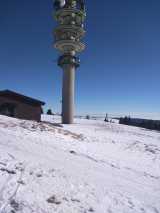 Warmer-Schneearmer-Januar-2020 in Bilder aus dem B und S Wäldern