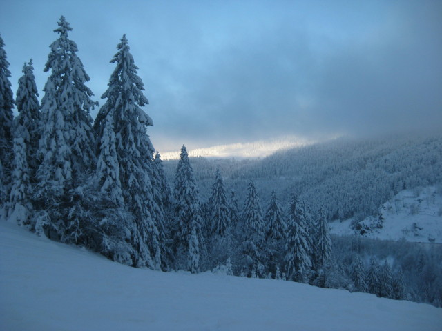 Feldberg - Schwarzwald -Skifahren mit Skilehrer