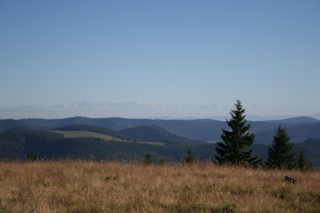 Rundfahrten mit dem Velo