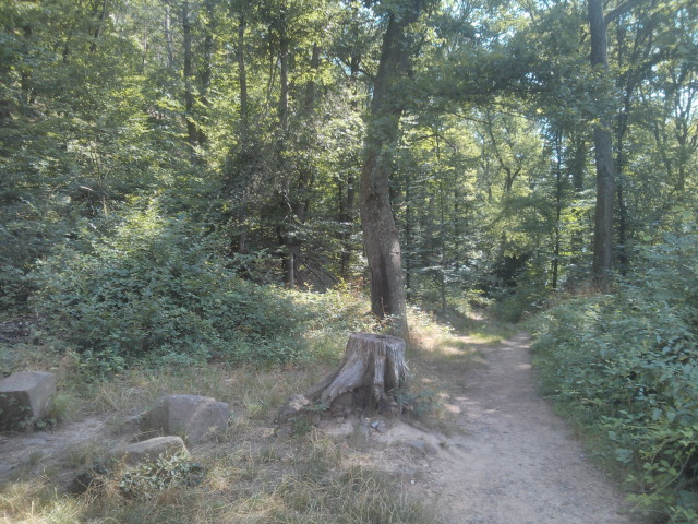Le bloc - Gueberschwihr -- Bouldern in den Vogesen - Alsace - France