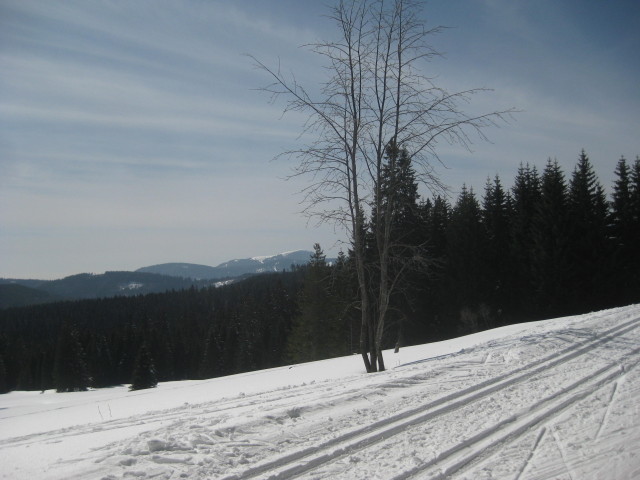 Bilder von Langlaufloipen aus dem Schwarzwald