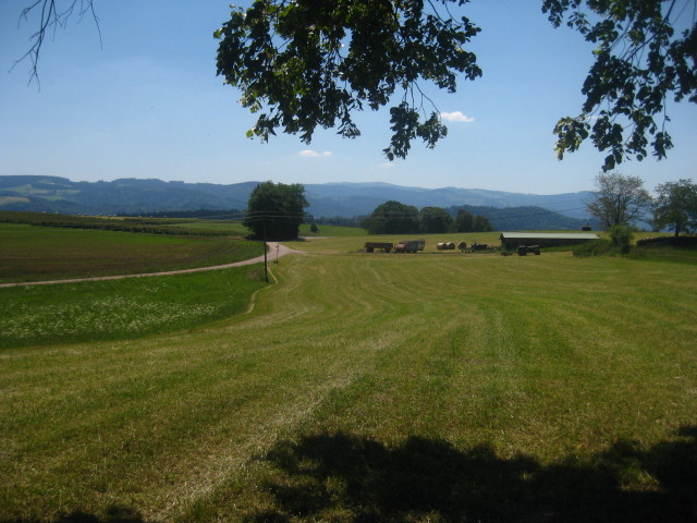 Rundfahrten mit dem Velo