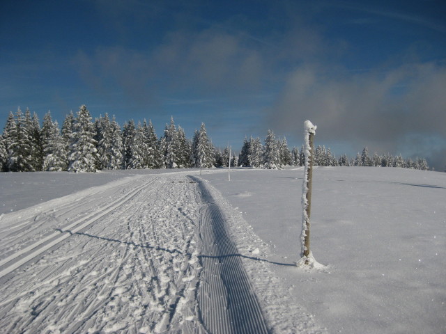 Todtnauberg Alpin, Langlauf, Rodeln