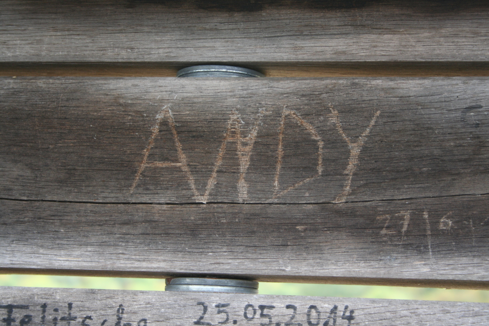 Andy in Wood