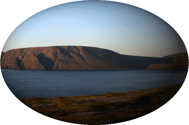 Nordkap-dreht-durch Animation