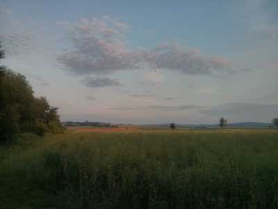 bei Bad Nauheim, Ackerland