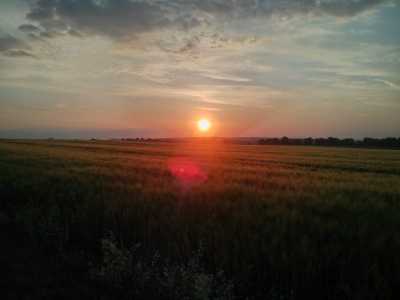 bei Bad Nauheim, Ackerland