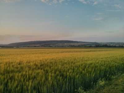 bei Bad Nauheim, Ackerland