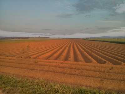 bei Bad Nauheim, Ackerland