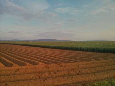 bei Bad Nauheim, Ackerland