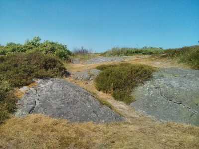 Schweden am Kattegatt