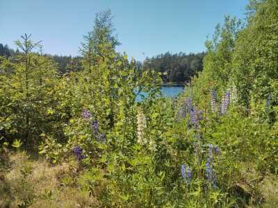 Norwegen - Richtung Halden