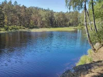 Norwegen - Richtung Halden