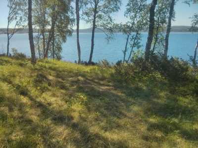 Morgendunst am  Aursunden