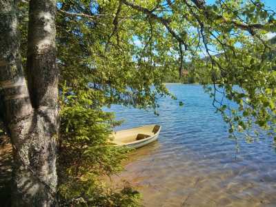 Route Nr. 705 an den Trondheimfjorden