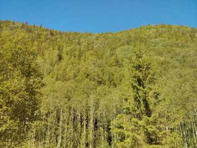 Route Nr. 705 an den Trondheimfjorden