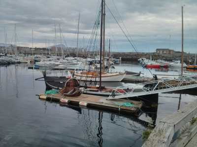   Bødø, Hafen und Stadtzentrum