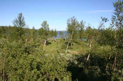 Glomma, Weltkulturerbe in Roros, Aursunden