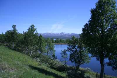 Route Nr. 705 an den Trondheimfjorden