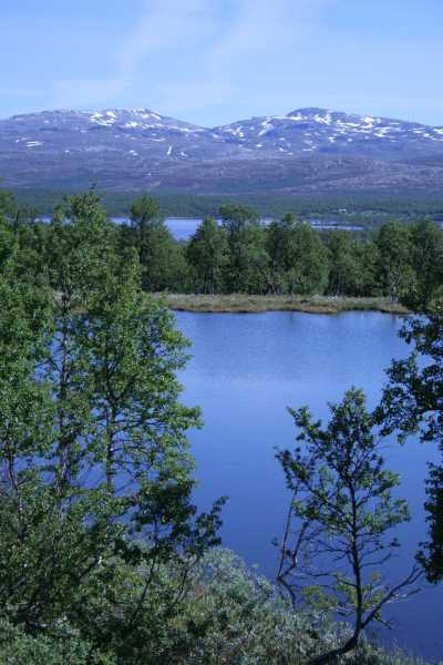 Route Nr. 705 an den Trondheimfjorden