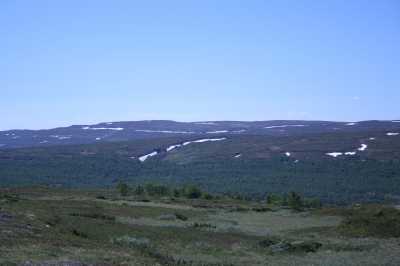 Route Nr. 705 an den Trondheimfjorden