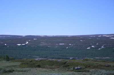 Route Nr. 705 an den Trondheimfjorden