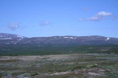Route Nr. 705 an den Trondheimfjorden