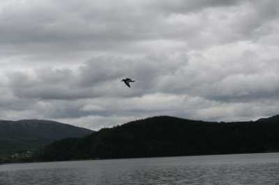 Start zum Kystriksveien Nr. 17   