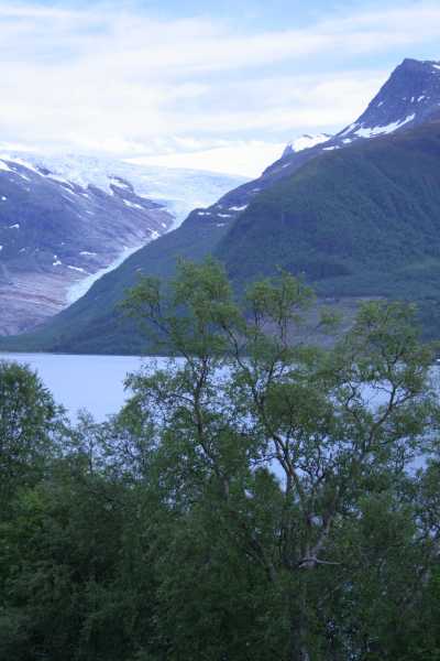 Svartisen - Engabreen - Holandsfjorden - Kystriksveien 17