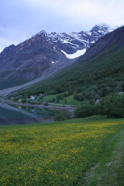 Ulsfjorden